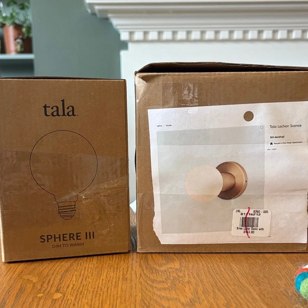 West Elm Tala Lochan Brass Sconce w Sphere Bulb